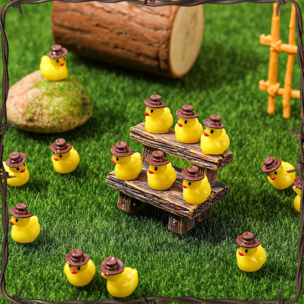50 stuks mini hars cowboy eend - Nutcracker Figurine recensie en prijs